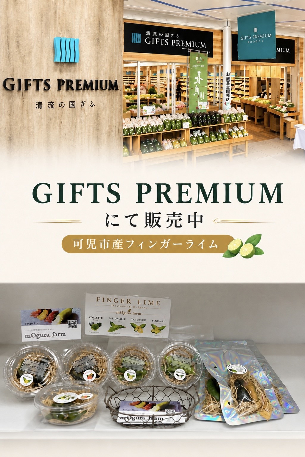 GIFTS PREMIUM販売