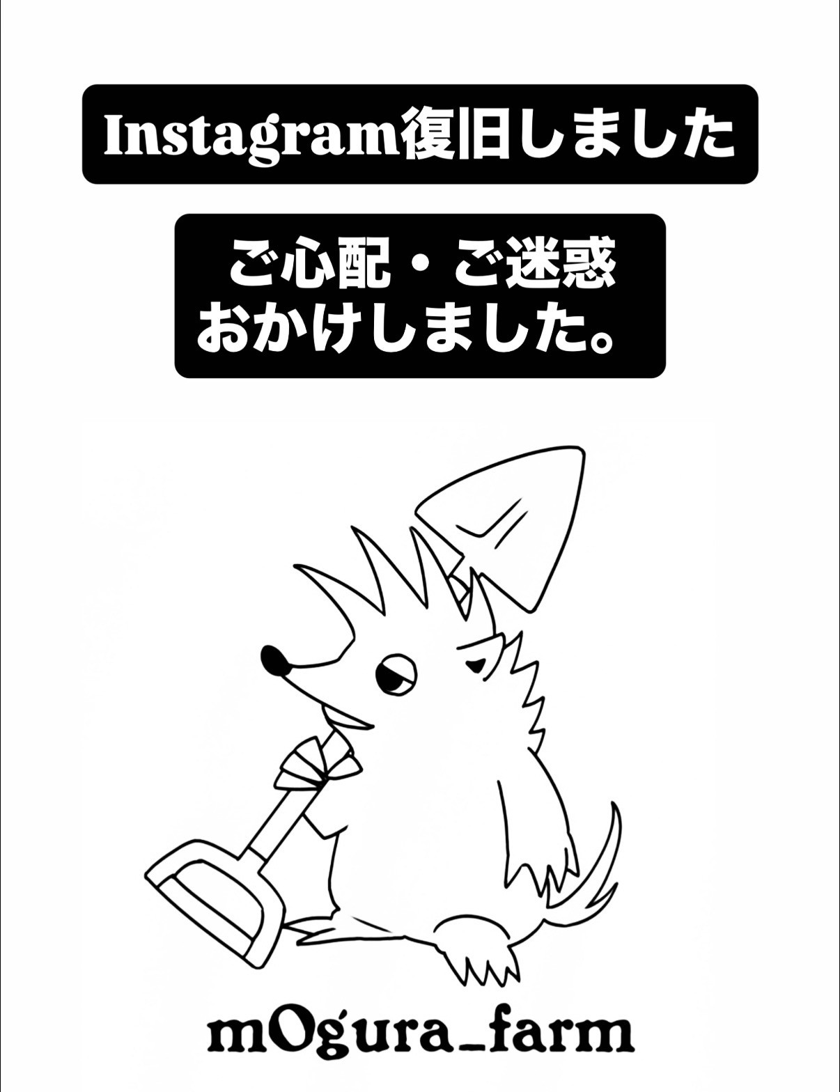 Instagramアカウント復旧のお知らせ
