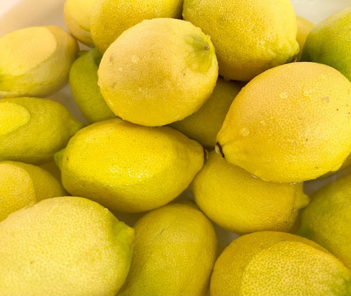紀の川産レモン　発酵フルーツシロップ仕込み始まりました！