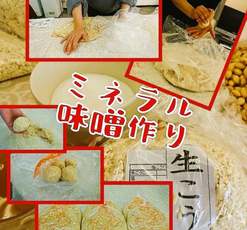 ミネラルみそ仕込み