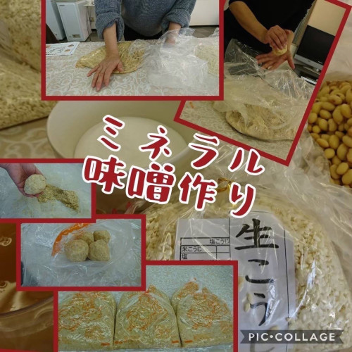 ミネラルみそ仕込み