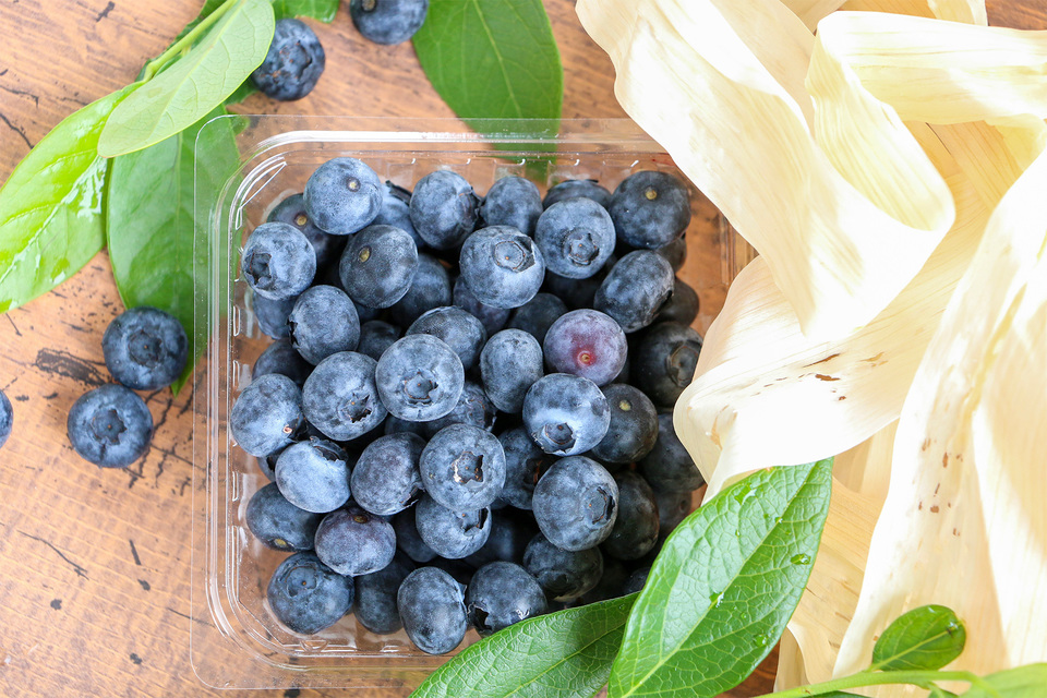 ブルーベリー