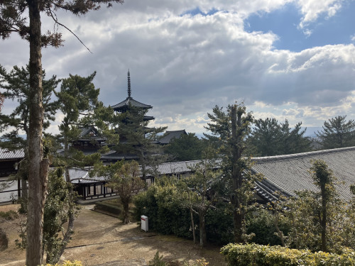 IMG_7164.jpeg