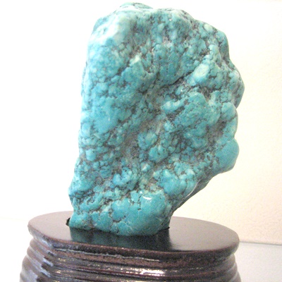 20221105-1.JPG