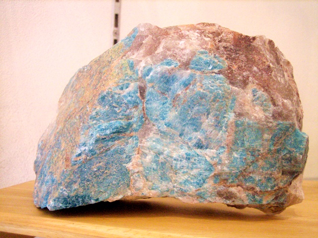20221128-1.JPG