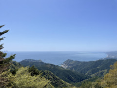 IMG_0533.jpeg
