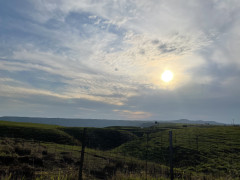 IMG_0929.jpeg