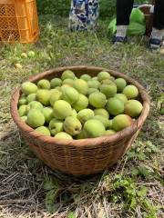 IMG_1431.jpeg