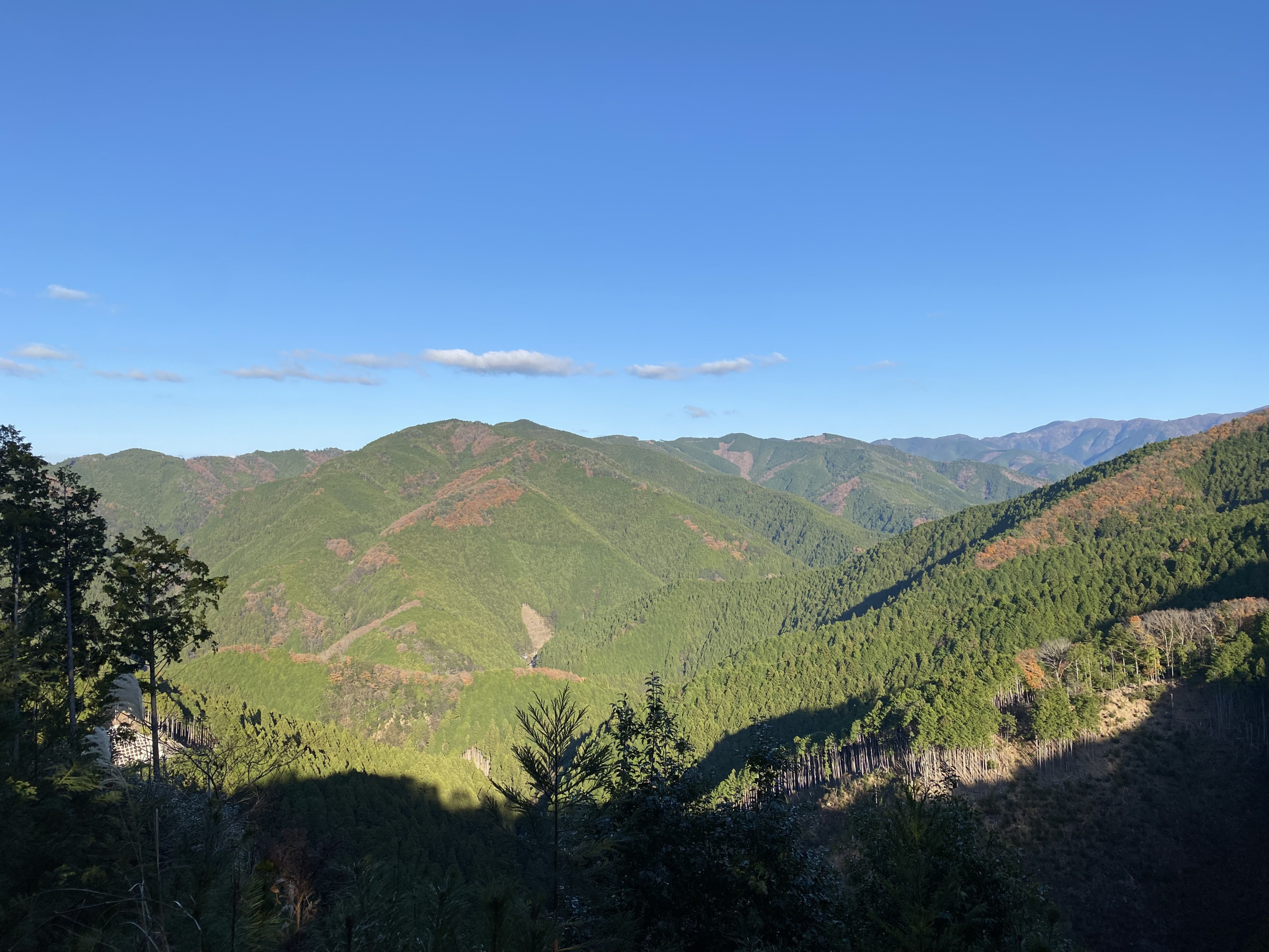 和歌山が育んだ木、紀州材