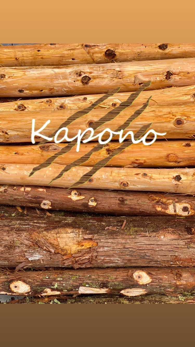 写真 有限会社 西林商店