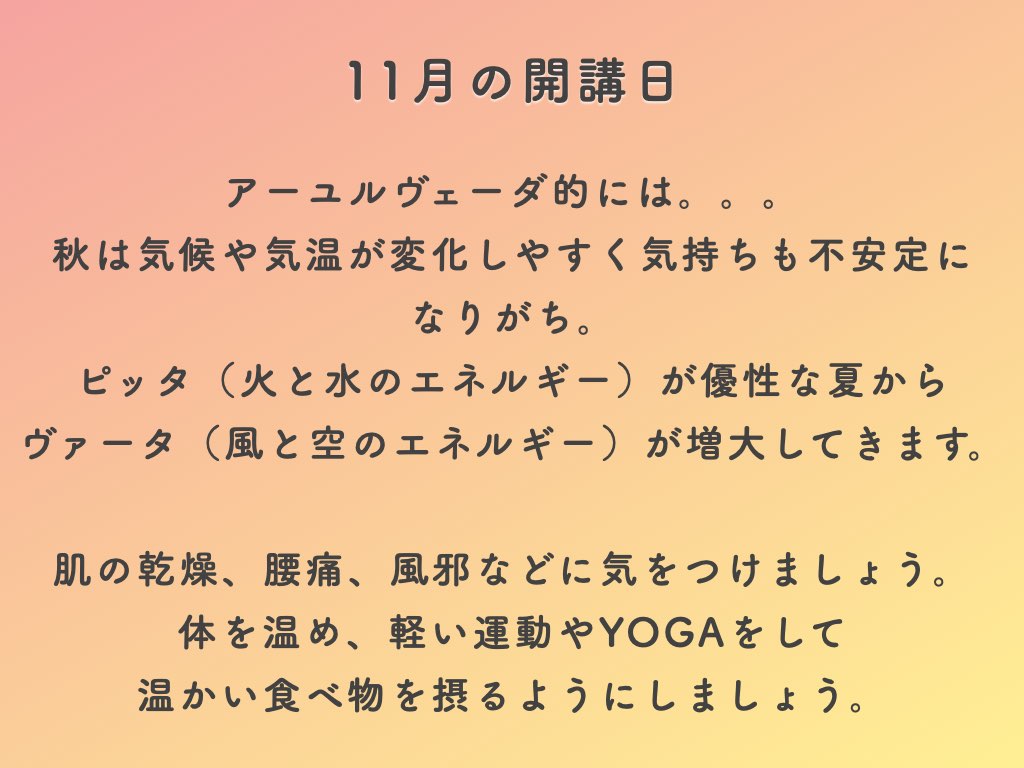 2023年11月のスケジュール
