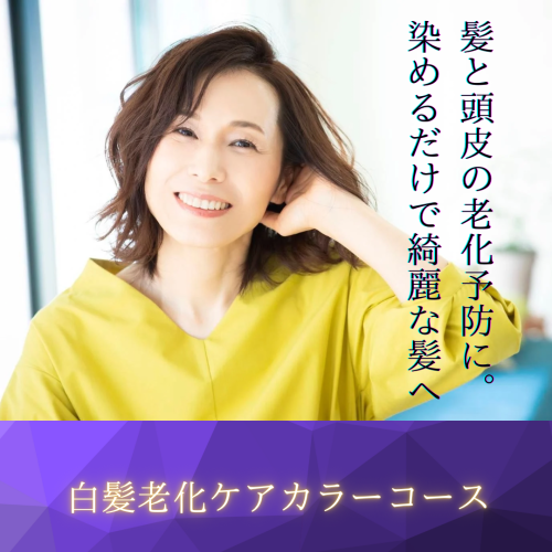 白髪老化ケアカラー - 2.png