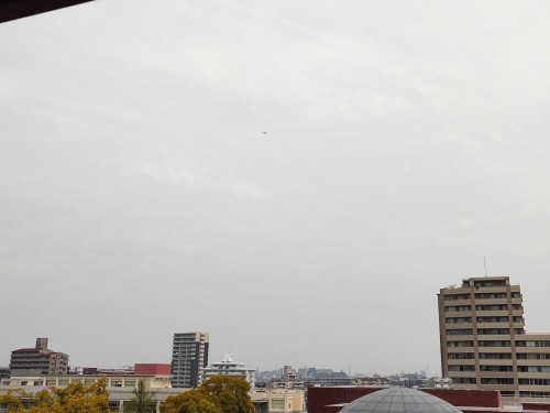 IMG_20250418_103656891.jpg