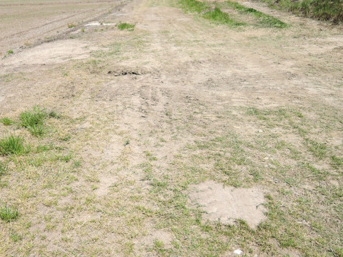 DSCN0330.JPG