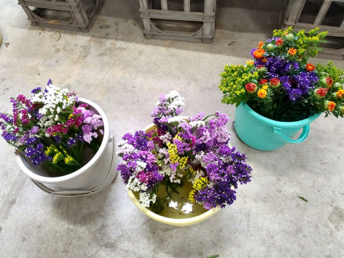 IMG_20250603_071102864_HDR[1].jpg