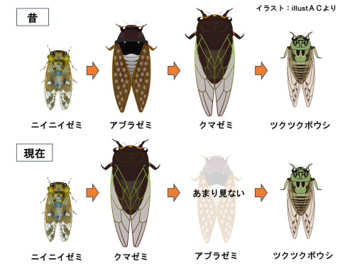 Microsoft PowerPoint - プレゼンテーション0711.jpg