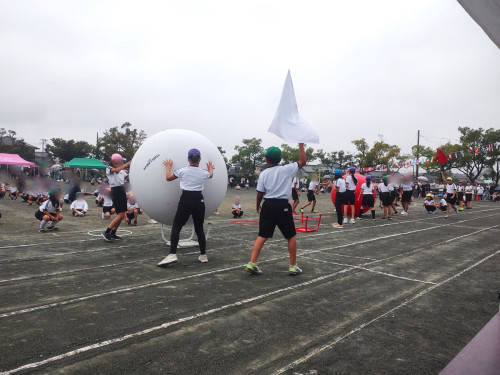 IMG_20251011_111327143.jpg