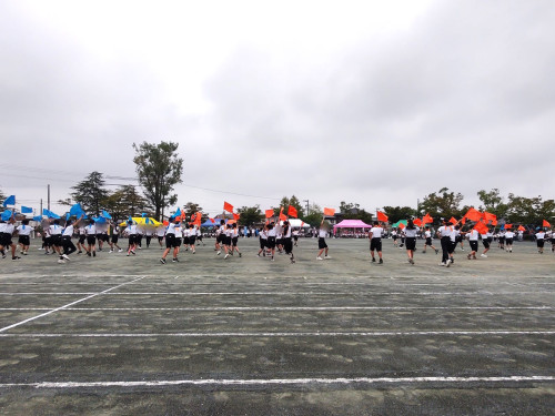 IMG_20251011_105616609.jpg