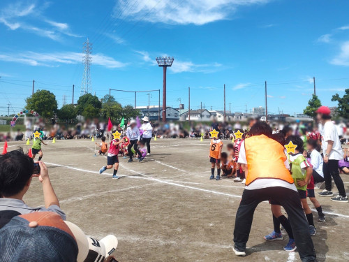 IMG_20251013_110714585.jpg