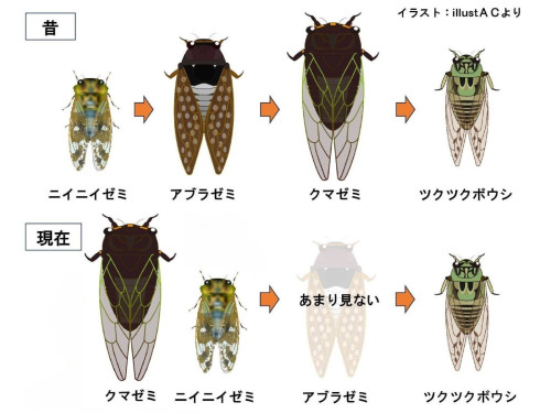 プレゼンテーション1.jpg