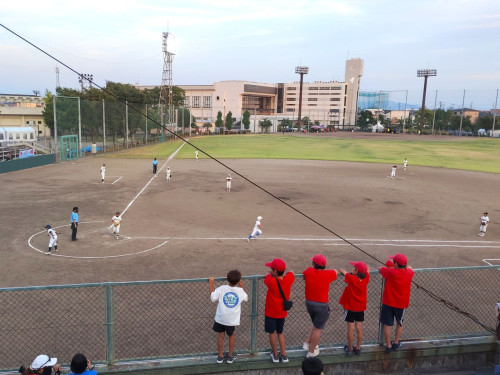 IMG_20260822_181129.jpg