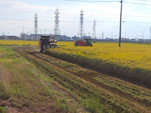 IMG_20260830_161117.jpg