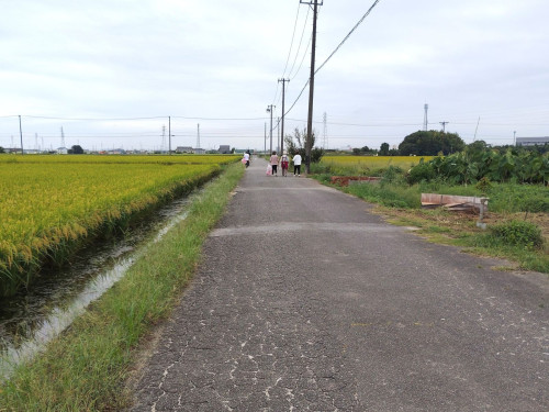 IMG_20260906_071037.jpg