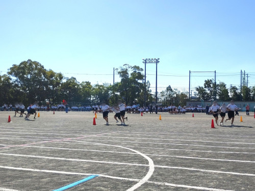 IMG_20261001_085050.jpg
