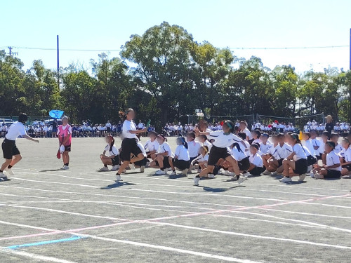 IMG_20261001_092013.jpg