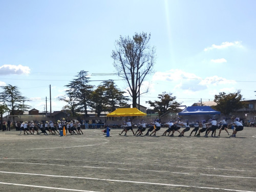 IMG_20261031_102630.jpg