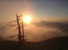 IMG_8480.jpeg