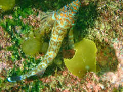 IMG_2621.JPG