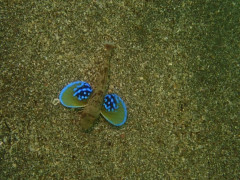 IMG_2623.JPG
