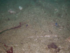 IMG_2676.JPG