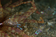 IMG_2680.JPG