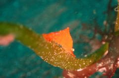 IMG_2829.JPG