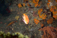 IMG_2963.jpeg