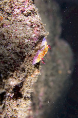IMG_2962.jpeg