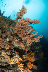 IMG_2958.jpeg