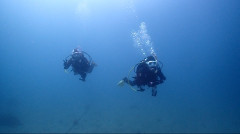 IMG_2970.jpeg