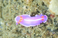 IMG_3035.JPG