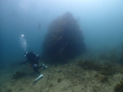 IMG_3112.JPG