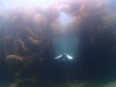 IMG_3118.JPG
