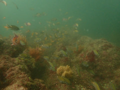 IMG_3166.jpeg