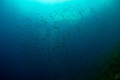 IMG_3288.jpg