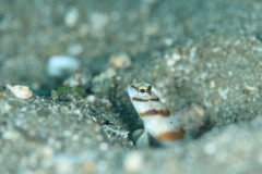 IMG_3399.JPG