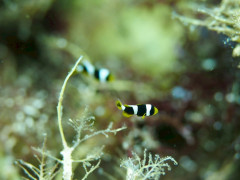 IMG_3410.jpeg