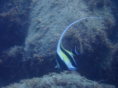 IMG_3473.JPG