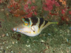 IMG_3505.jpeg