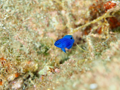 IMG_3536.JPG